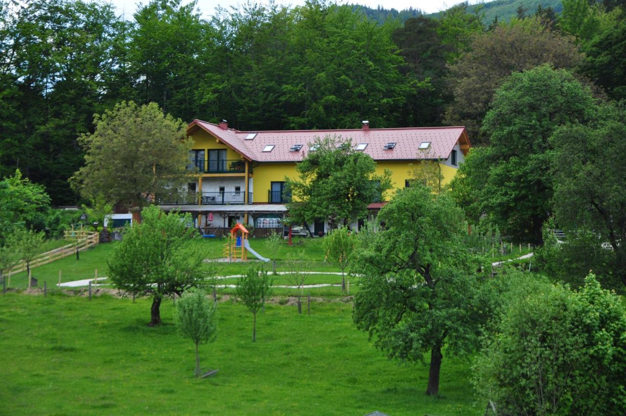 Mostheuriger Steyrdurchbruchalm Leonstein Luaran gambar